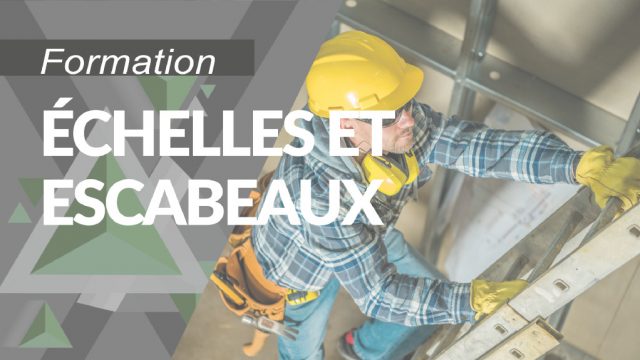 Échelles et escabeaux