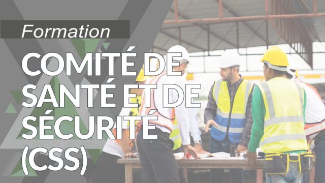 Comité de santé et de sécurité (CSS)
