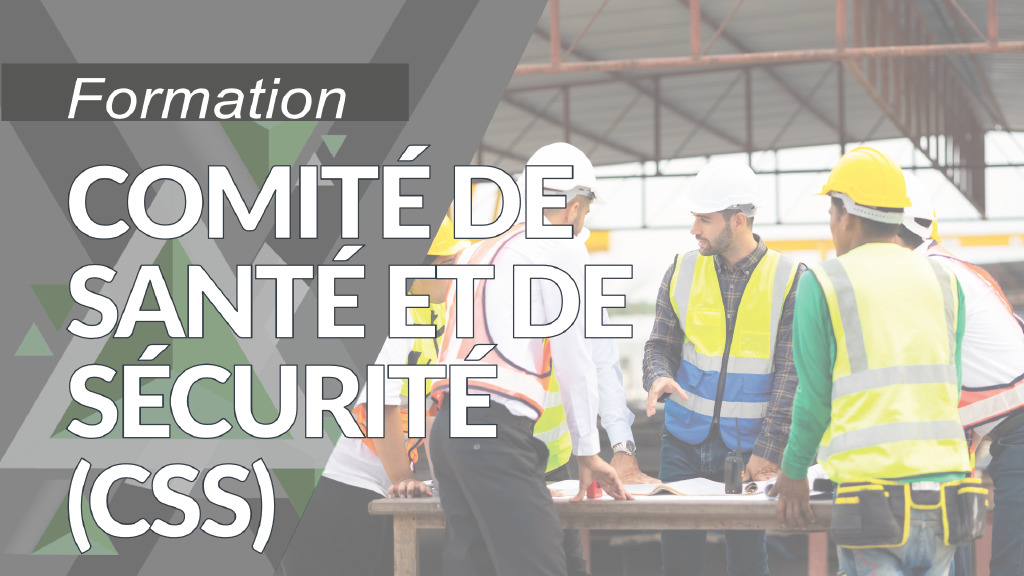 Comité de santé et de sécurité (CSS)