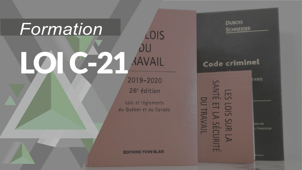Loi C-21